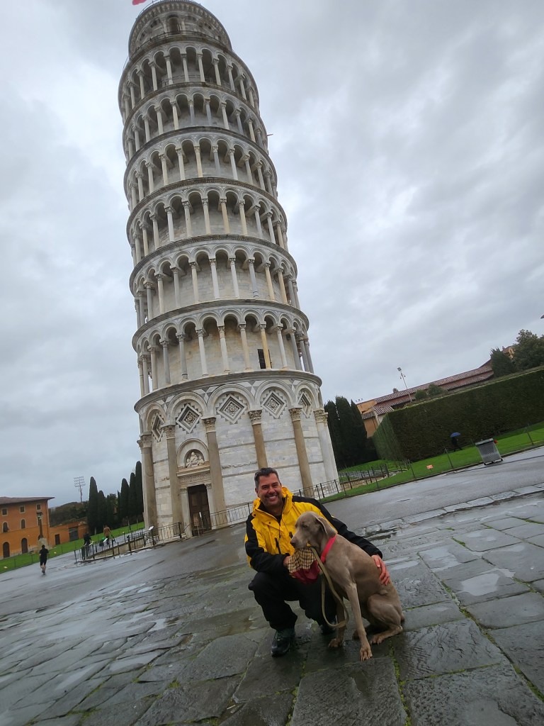 si viajas con perro, ya no viajas solo