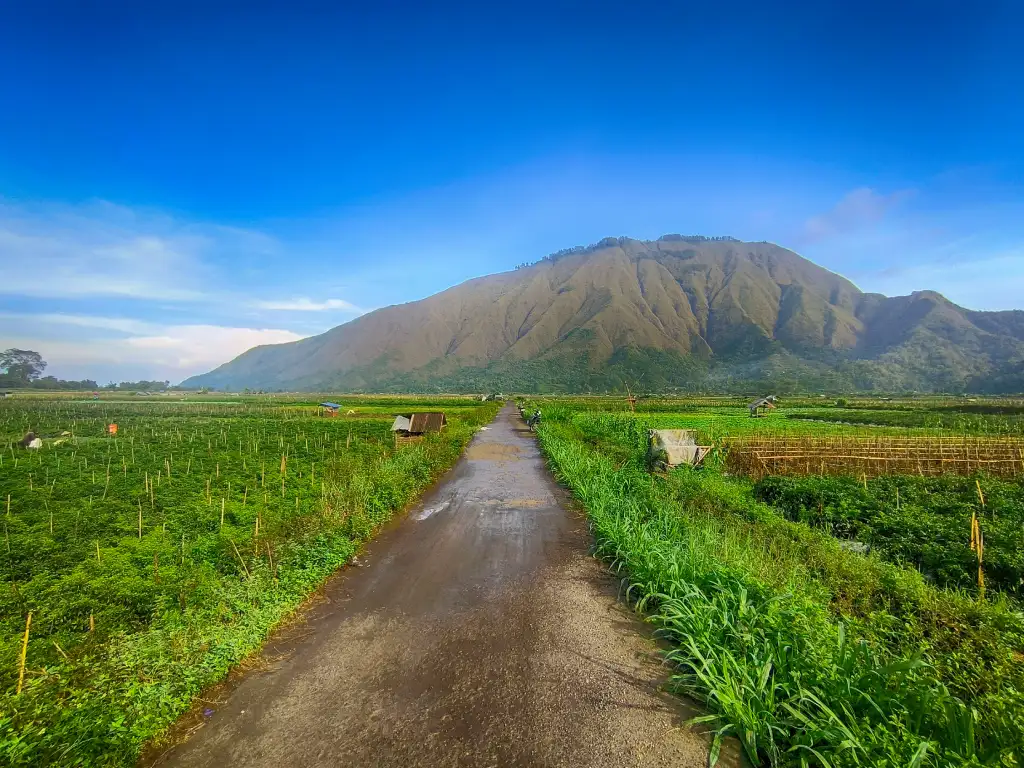 sembalun valle cultivos locales lombok indonesia