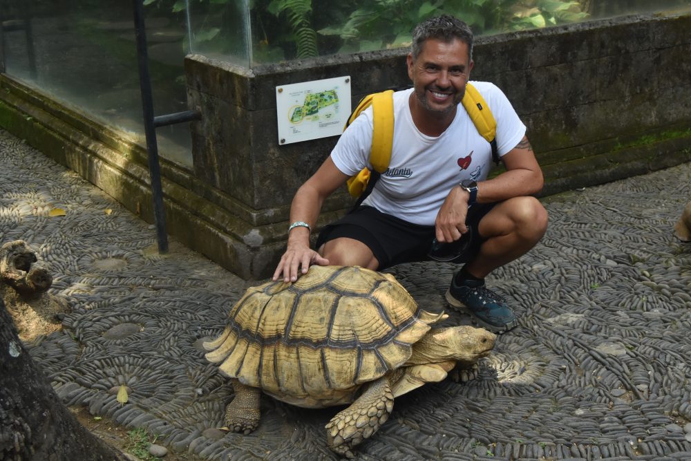 reptil park tortuga gigante ubud