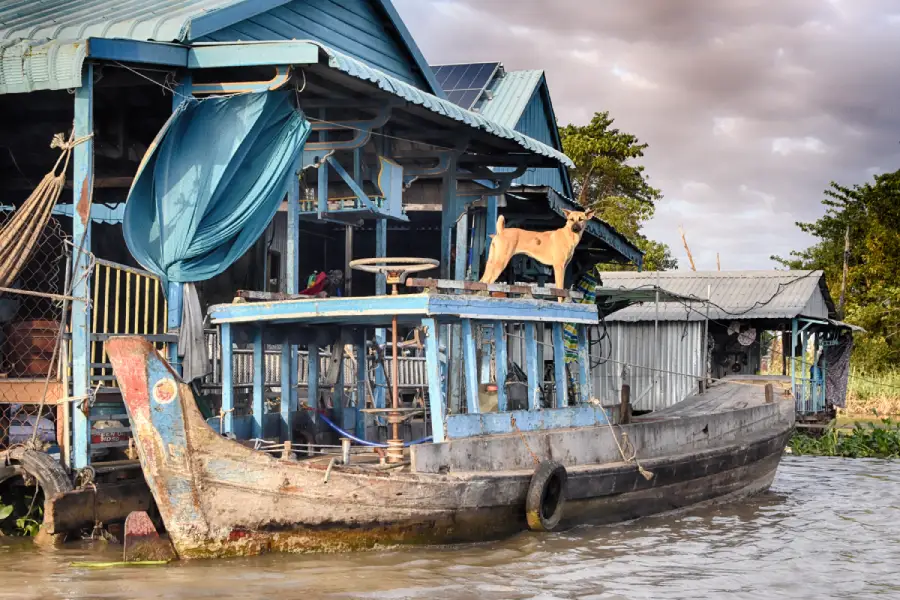 perro en casa flotante