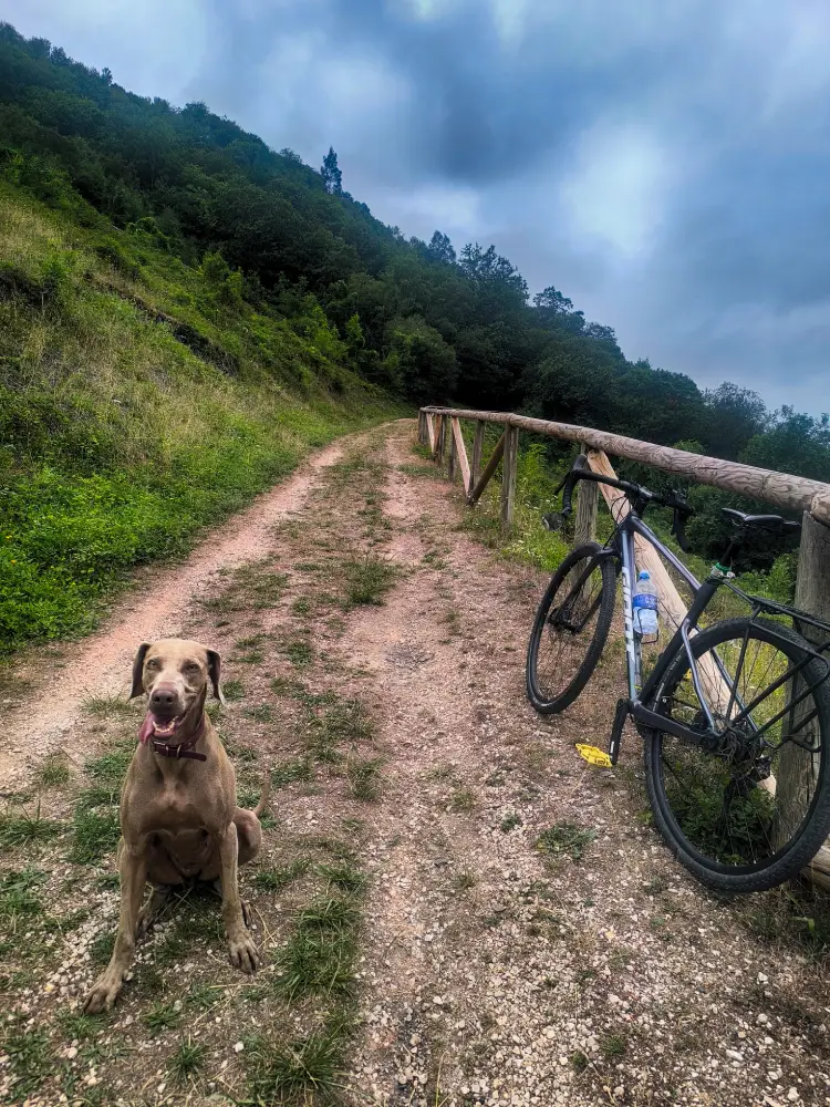 camino senda verde via bicicleta. Recorriendo el valle minero.